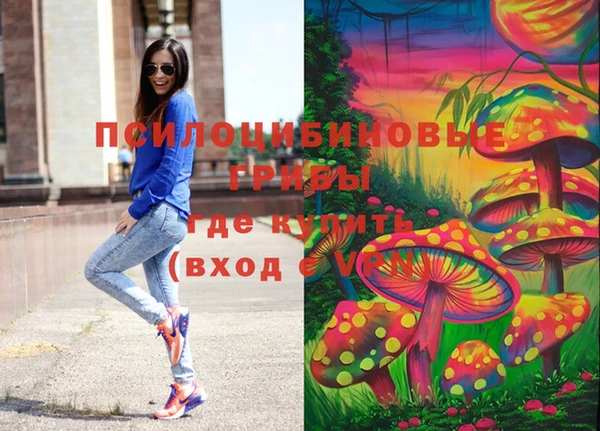 СК Абинск