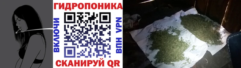 Бошки Шишки Bruce Banner  Абакан 